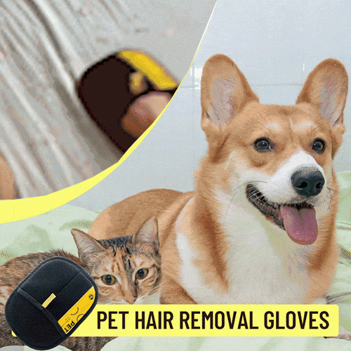 Pet Hair Removal Glove – 🐾Effortless Fur Cleanup