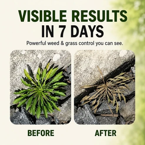 Easy weed treatment