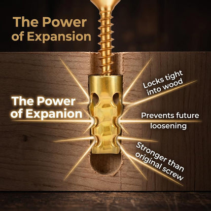 Hinge Repair Screw & Expansion Anchor