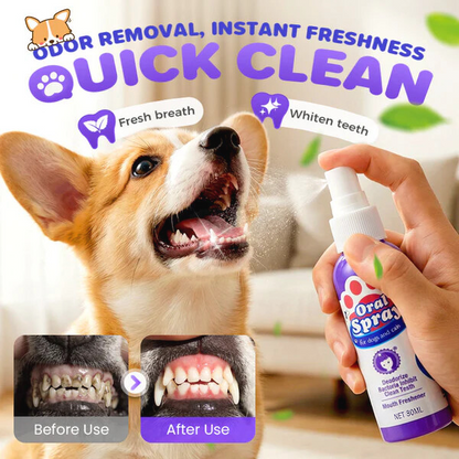 🔥Teeth Cleaning Spray for Pets